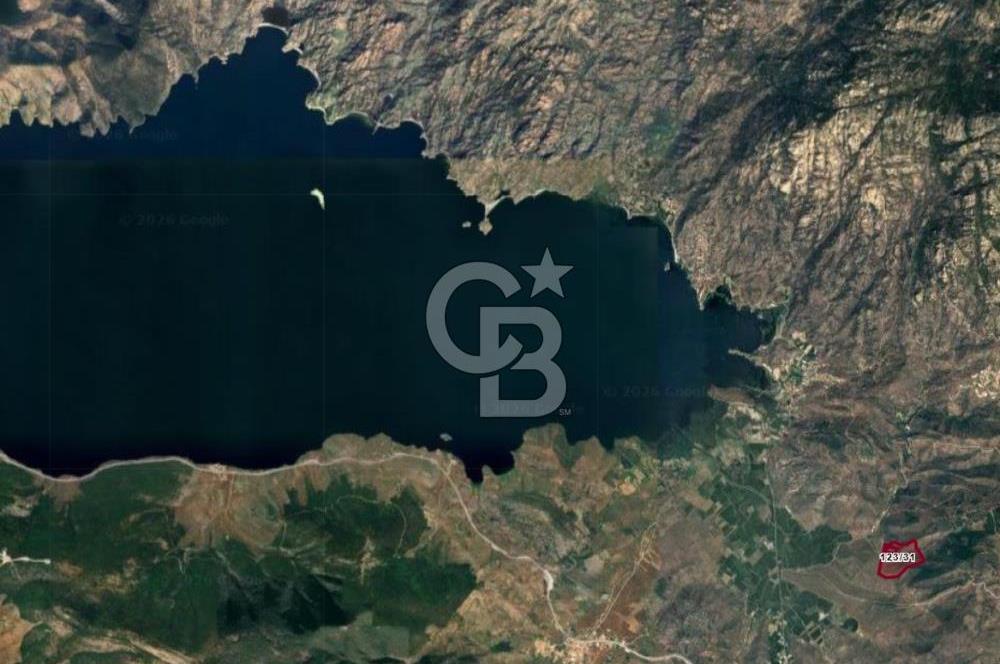 BAFA GÖLÜ YAKININDA  1004 M2 ZEYTİNLİK YATIRIM FIRSATI