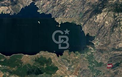 BAFA GÖLÜ YAKININDA  1004 M2 ZEYTİNLİK YATIRIM FIRSATI