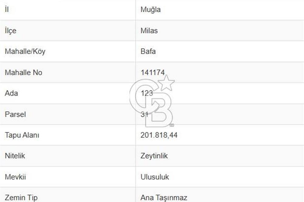 BAFA GÖLÜ YAKININDA  1004 M2 ZEYTİNLİK YATIRIM FIRSATI