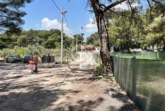 Bornova Yakaköy'de Mesire Alanı Yakını | Çevrili ve Yolu Mevcut - 5 - 353173
