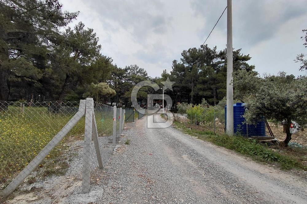 Bornova Yakaköy'de Mesire Alanı Yakını | Çevrili ve Yolu Mevcut