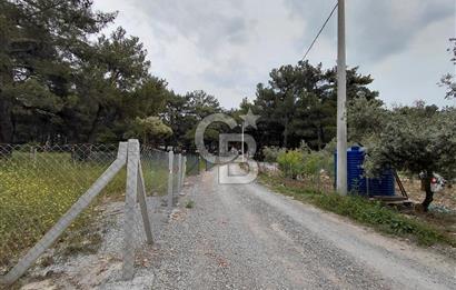 Bornova Yakaköy'de Mesire Alanı Yakını | Çevrili ve Yolu Mevcut