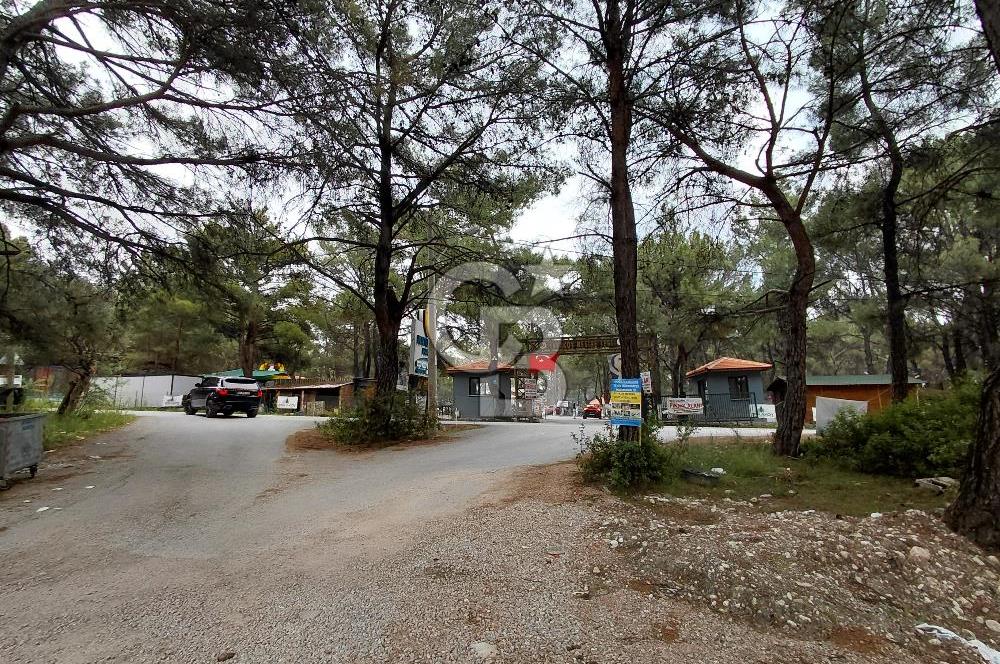 Bornova Yakaköy'de Mesire Alanı Yakını | Çevrili ve Yolu Mevcut