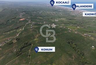 CB ENVOY Sakarya Kocaali'de Satılık 11.632 m² Fındık Bahçesi - 11 - 353143