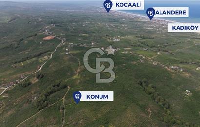 CB ENVOY Sakarya Kocaali'de Satılık 11.632 m² Fındık Bahçesi