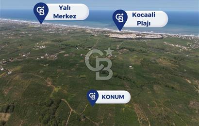 CB ENVOY Sakarya Kocaali'de Satılık 11.632 m² Fındık Bahçesi