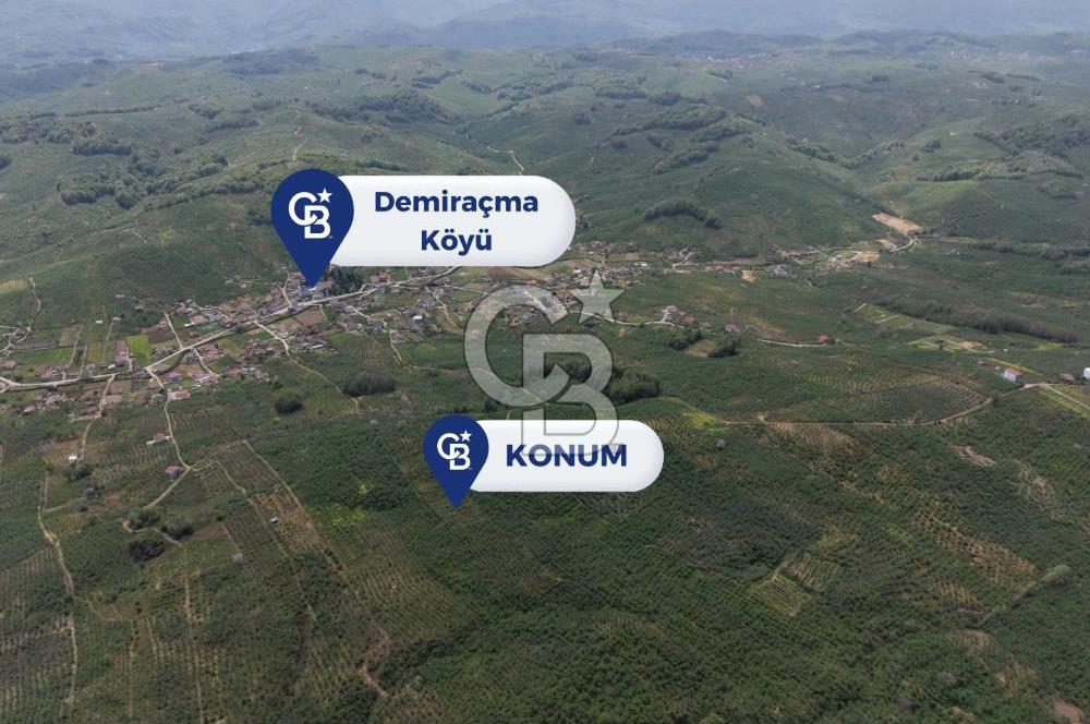 CB ENVOY Sakarya Kocaali'de Satılık 11.632 m² Fındık Bahçesi