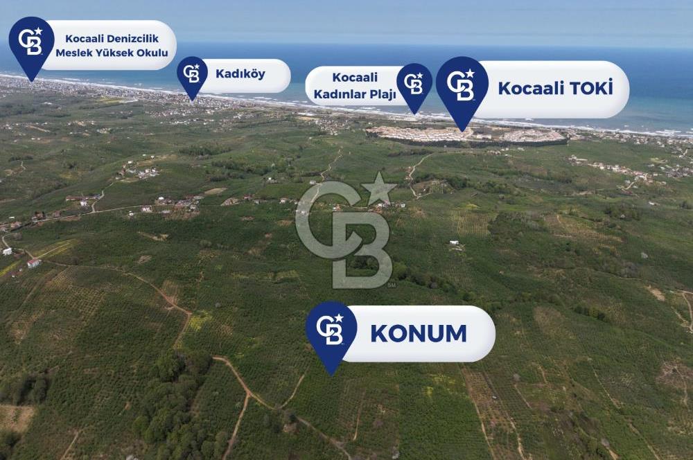 CB ENVOY Sakarya Kocaali'de Satılık 11.632 m² Fındık Bahçesi