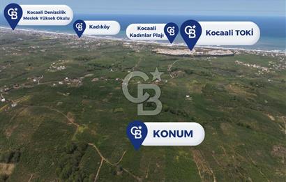 CB ENVOY Sakarya Kocaali'de Satılık 11.632 m² Fındık Bahçesi