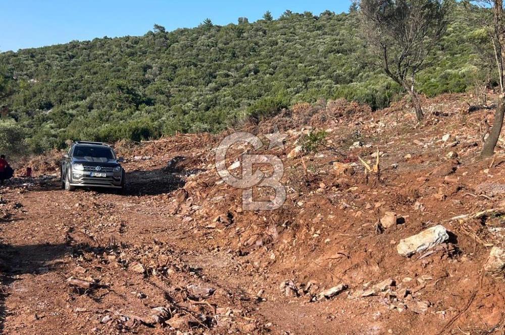 DIDİM AKYENİKÖY'DE KARAKUYU MEVKİİ SATILIK YATIRIMLIK ARAZİ