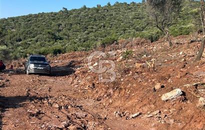 DIDİM AKYENİKÖY'DE KARAKUYU MEVKİİ SATILIK YATIRIMLIK ARAZİ