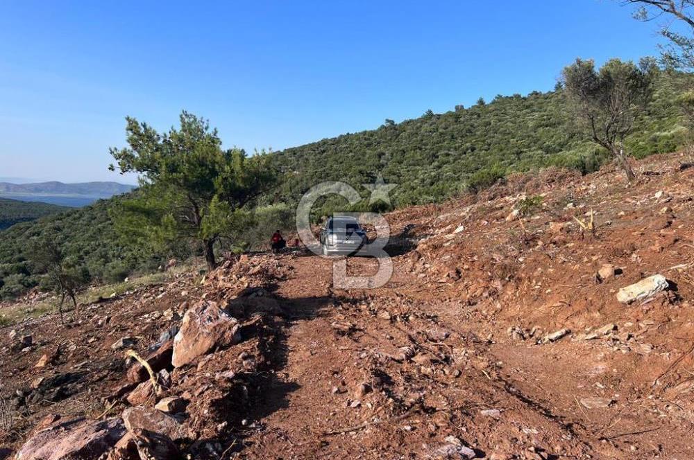DIDİM AKYENİKÖY'DE KARAKUYU MEVKİİ SATILIK YATIRIMLIK ARAZİ