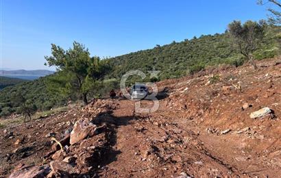 DIDİM AKYENİKÖY'DE KARAKUYU MEVKİİ SATILIK YATIRIMLIK ARAZİ