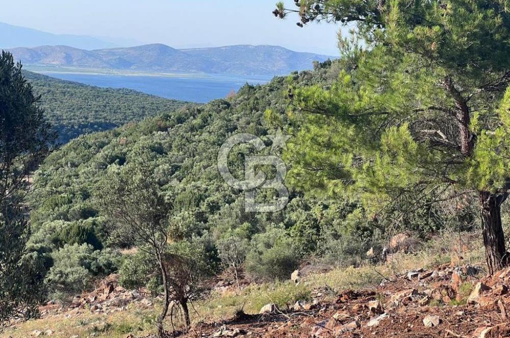 DIDİM AKYENİKÖY'DE KARAKUYU MEVKİİ SATILIK YATIRIMLIK ARAZİ