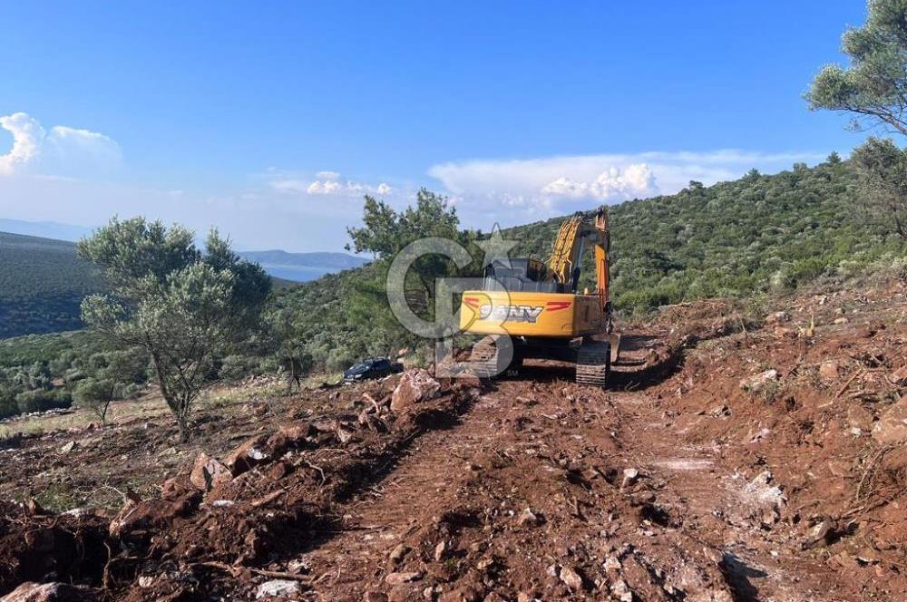 DIDİM AKYENİKÖY'DE KARAKUYU MEVKİİ SATILIK YATIRIMLIK ARAZİ