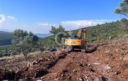 DIDİM AKYENİKÖY'DE KARAKUYU MEVKİİ SATILIK YATIRIMLIK ARAZİ