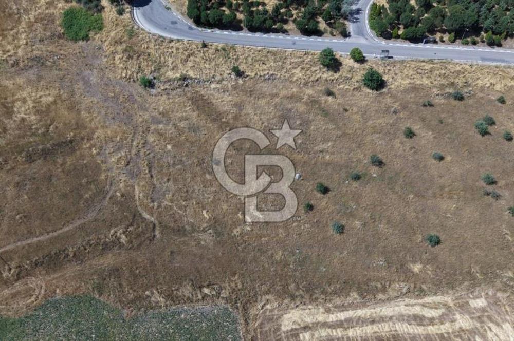 CB KİNG'DEN YATIRIMLIK KAÇIRILMAYACAK KONUT İMARLI SATILIK ARSA