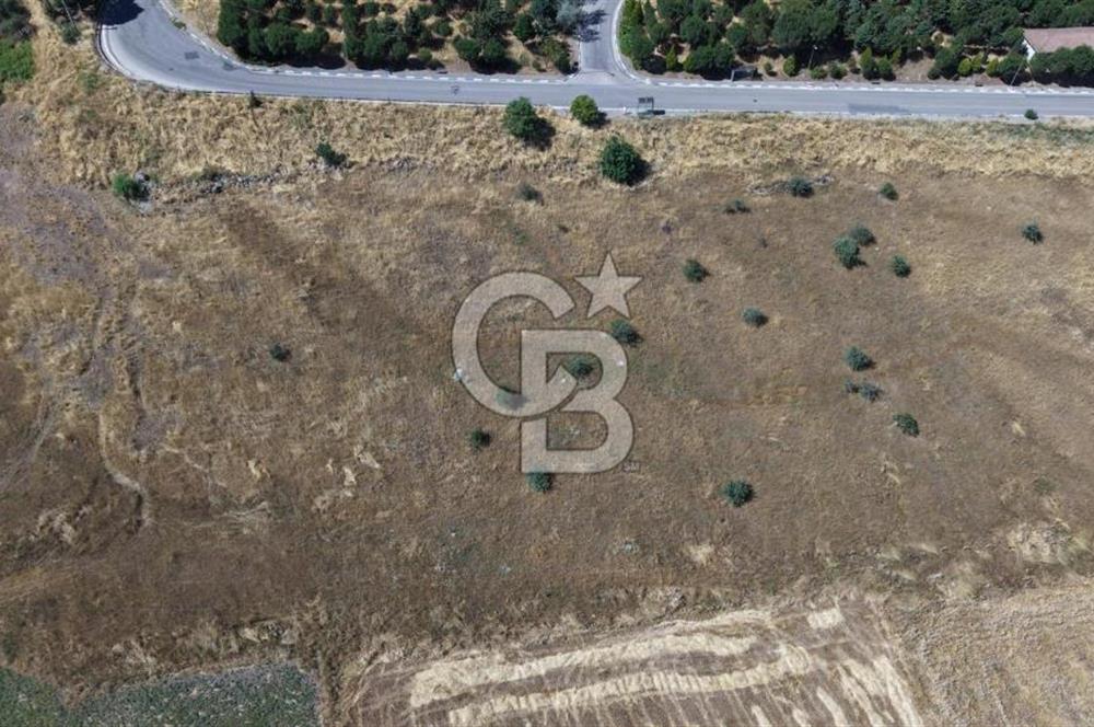CB KİNG'DEN YATIRIMLIK KAÇIRILMAYACAK KONUT İMARLI SATILIK ARSA
