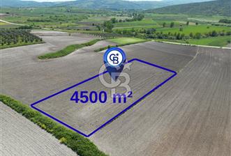 Bursa Karacabey Çeşnigir’de 4500m² Verimli Tarla - 7 - 353216
