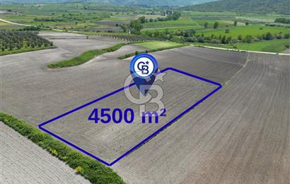 Bursa Karacabey Çeşnigir’de 4500m² Verimli Tarla
