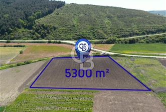 Bursa Karacabey Çeşnigir’de Yola Cephe 5300m² Tarla - 8 - 353215