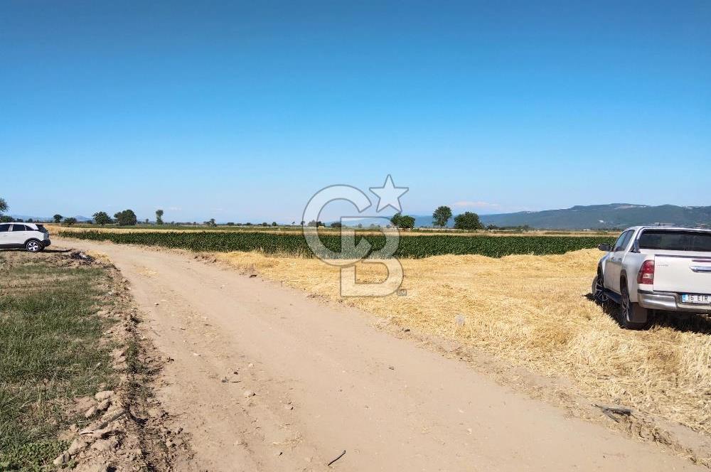 Kadastro Yoluna Cepheli, TEK TAPU Satılık 4.800 m² Verimli Tarla