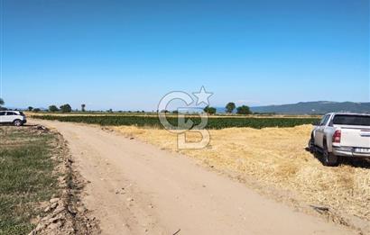 Kadastro Yoluna Cepheli, TEK TAPU Satılık 4.800 m² Verimli Tarla