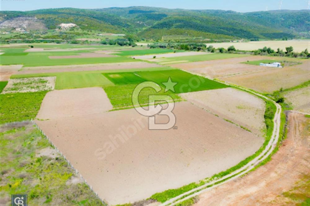 Bursa Karacabey Çeşnigir’de Yola Cephe 5300m² Tarla