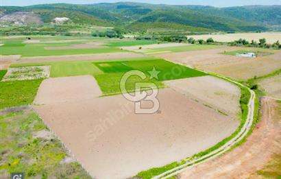 Bursa Karacabey Çeşnigir’de Yola Cephe 5300m² Tarla