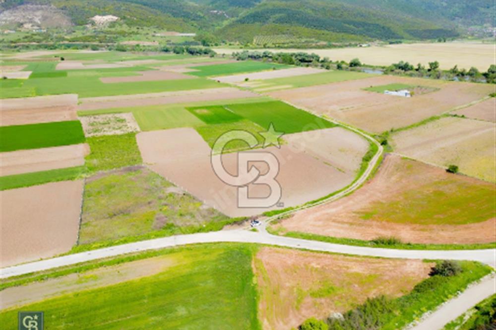 Bursa Karacabey Çeşnigir’de Yola Cephe 5300m² Tarla