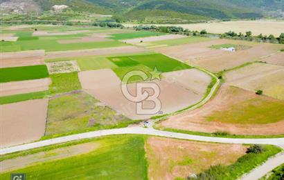 Bursa Karacabey Çeşnigir’de Yola Cephe 5300m² Tarla