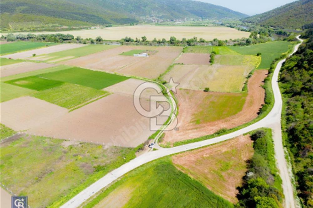 Bursa Karacabey Çeşnigir’de Yola Cephe 5300m² Tarla