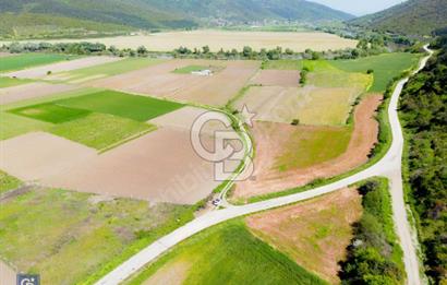 Bursa Karacabey Çeşnigir’de Yola Cephe 5300m² Tarla