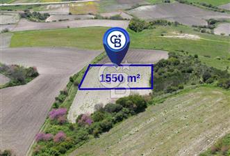 Bursa Karacabey Çeşnigir’de 1550m² Tarla - 6 - 353230