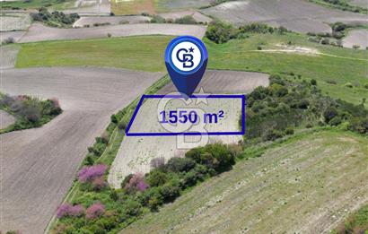 Bursa Karacabey Çeşnigir’de 1550m² Tarla