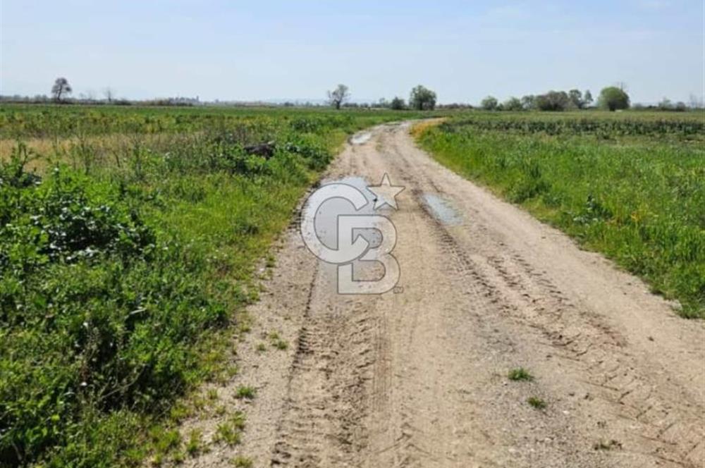 Kadastro Yoluna Cepheli, TEK TAPU Satılık 4.800 m² Verimli Tarla