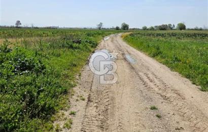 Kadastro Yoluna Cepheli, TEK TAPU Satılık 4.800 m² Verimli Tarla