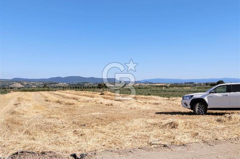 Kadastro Yoluna Cepheli, TEK TAPU Satılık 4.800 m² Verimli Tarla