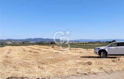 Kadastro Yoluna Cepheli, TEK TAPU Satılık 4.800 m² Verimli Tarla