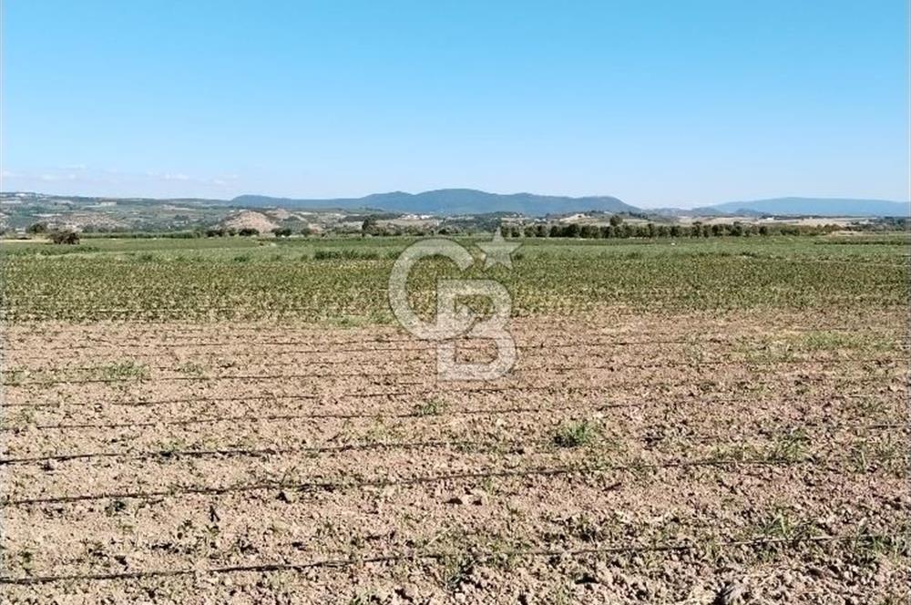 Kadastro Yoluna Cepheli, TEK TAPU Satılık 4.800 m² Verimli Tarla