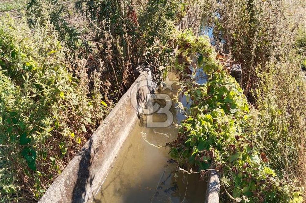 Kadastro Yoluna Cepheli, TEK TAPU Satılık 4.800 m² Verimli Tarla