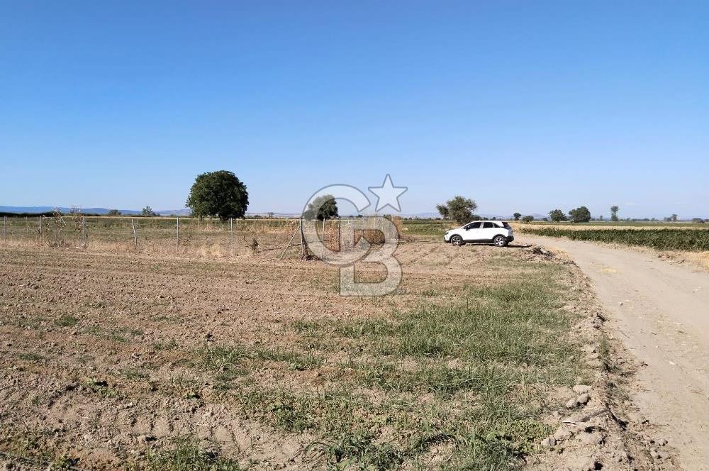 Kadastro Yoluna Cepheli, TEK TAPU Satılık 4.800 m² Verimli Tarla