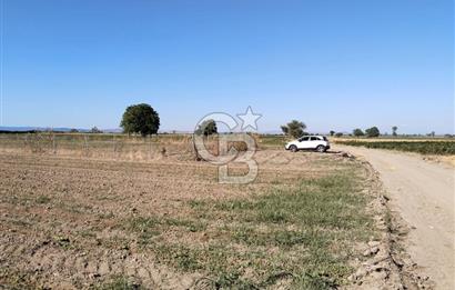Kadastro Yoluna Cepheli, TEK TAPU Satılık 4.800 m² Verimli Tarla
