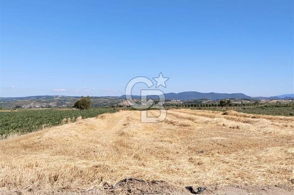 Kadastro Yoluna Cepheli, TEK TAPU Satılık 4.800 m² Verimli Tarla