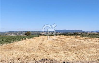 Kadastro Yoluna Cepheli, TEK TAPU Satılık 4.800 m² Verimli Tarla