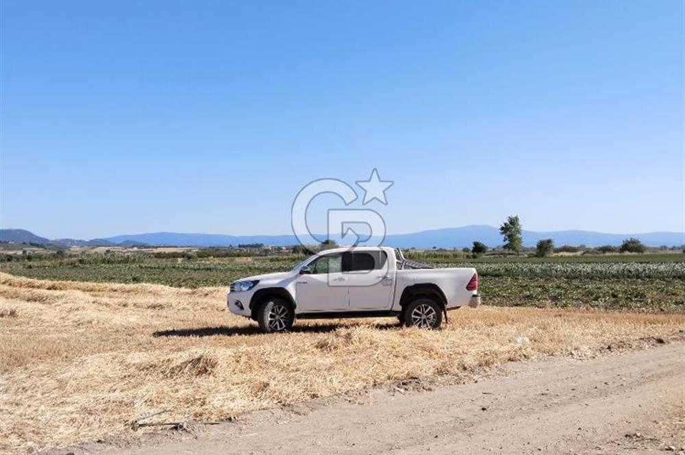Kadastro Yoluna Cepheli, TEK TAPU Satılık 4.800 m² Verimli Tarla