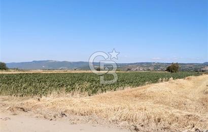 Kadastro Yoluna Cepheli, TEK TAPU Satılık 4.800 m² Verimli Tarla