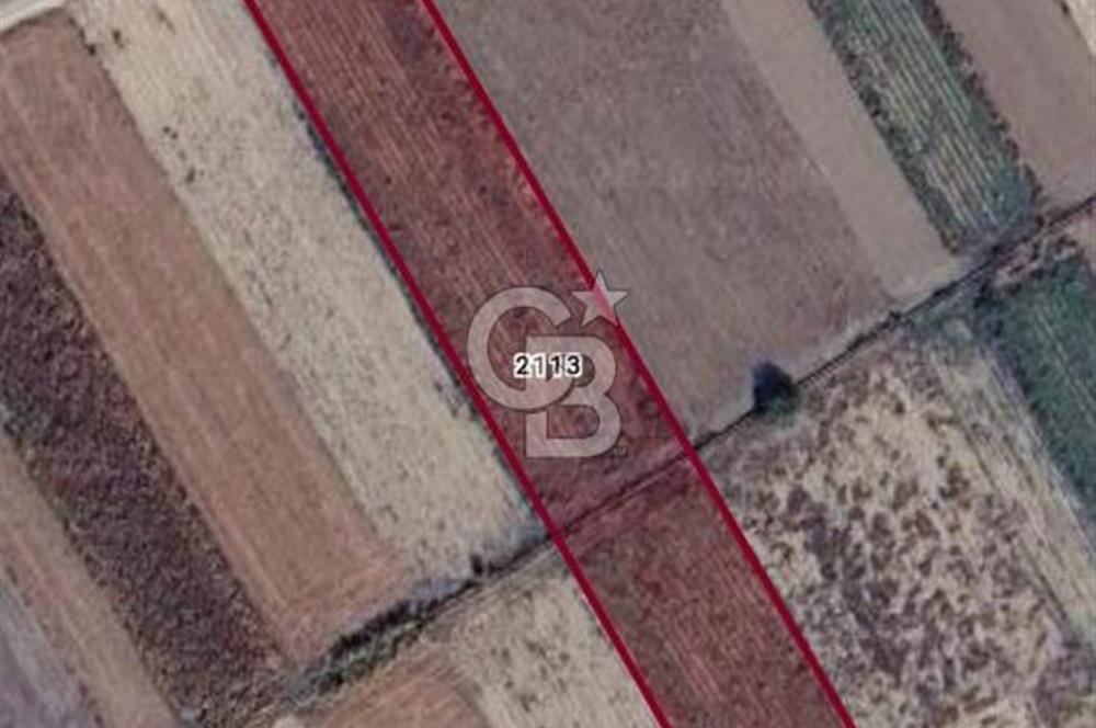 Kadastro Yoluna Cepheli, TEK TAPU Satılık 4.800 m² Verimli Tarla