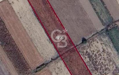 Kadastro Yoluna Cepheli, TEK TAPU Satılık 4.800 m² Verimli Tarla
