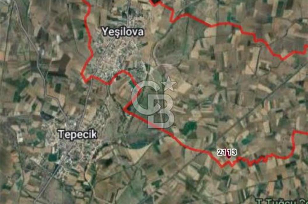 Kadastro Yoluna Cepheli, TEK TAPU Satılık 4.800 m² Verimli Tarla